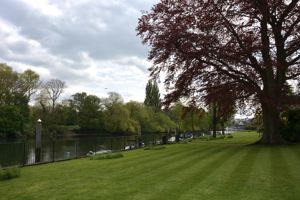 Communal Lawn on The Thames- click for photo gallery